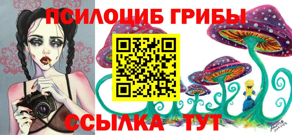 Псилоцибиновые грибы GOLDEN TEACHER Тосно