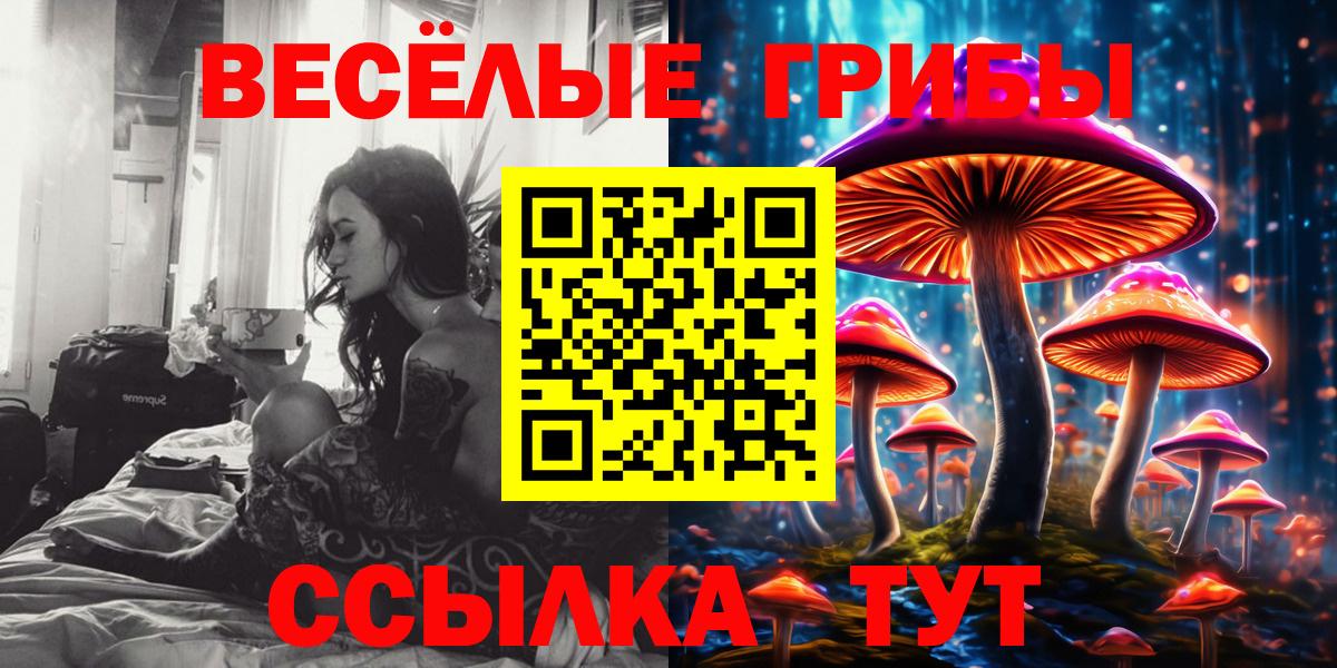Тосно  Псилоцибиновые грибы Psilocybine cubensis  Вход с VPN  Галлюциногенные грибы прущие грибы 